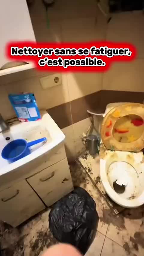 @GenPrimeX