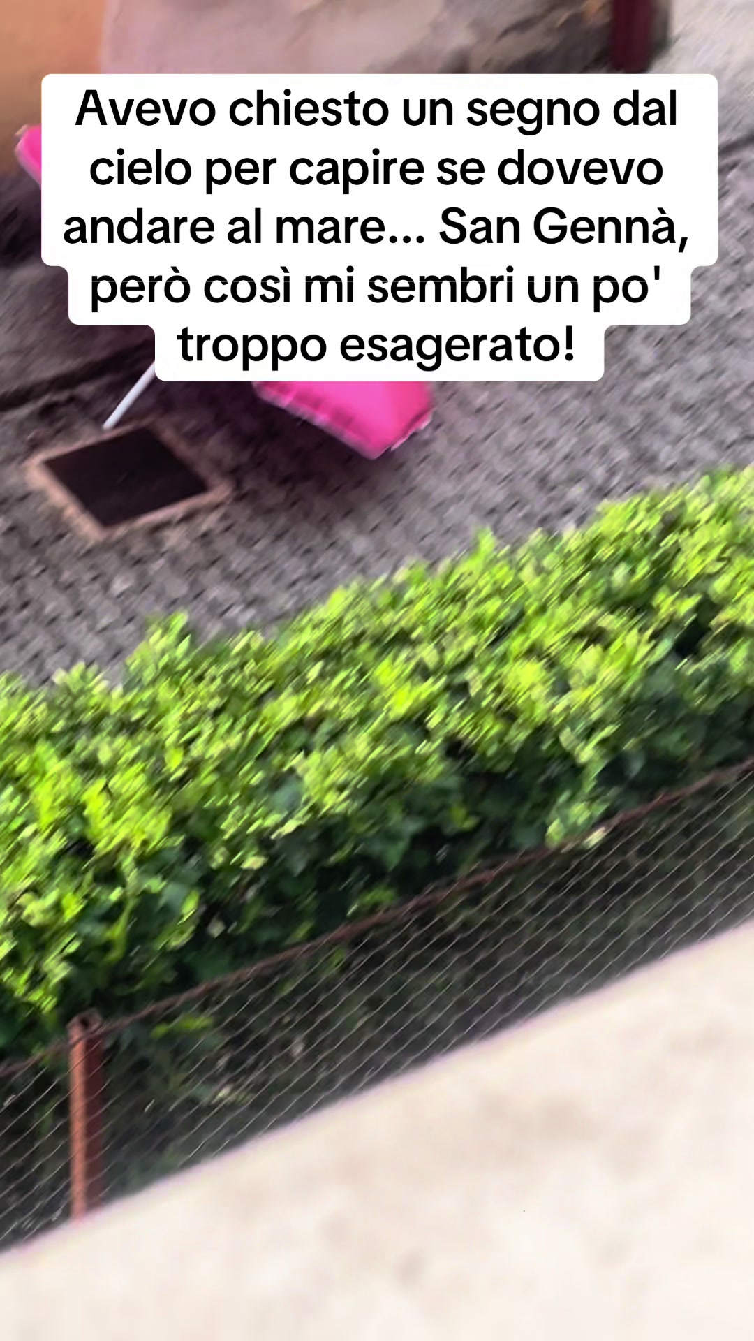 @Alessia Grani