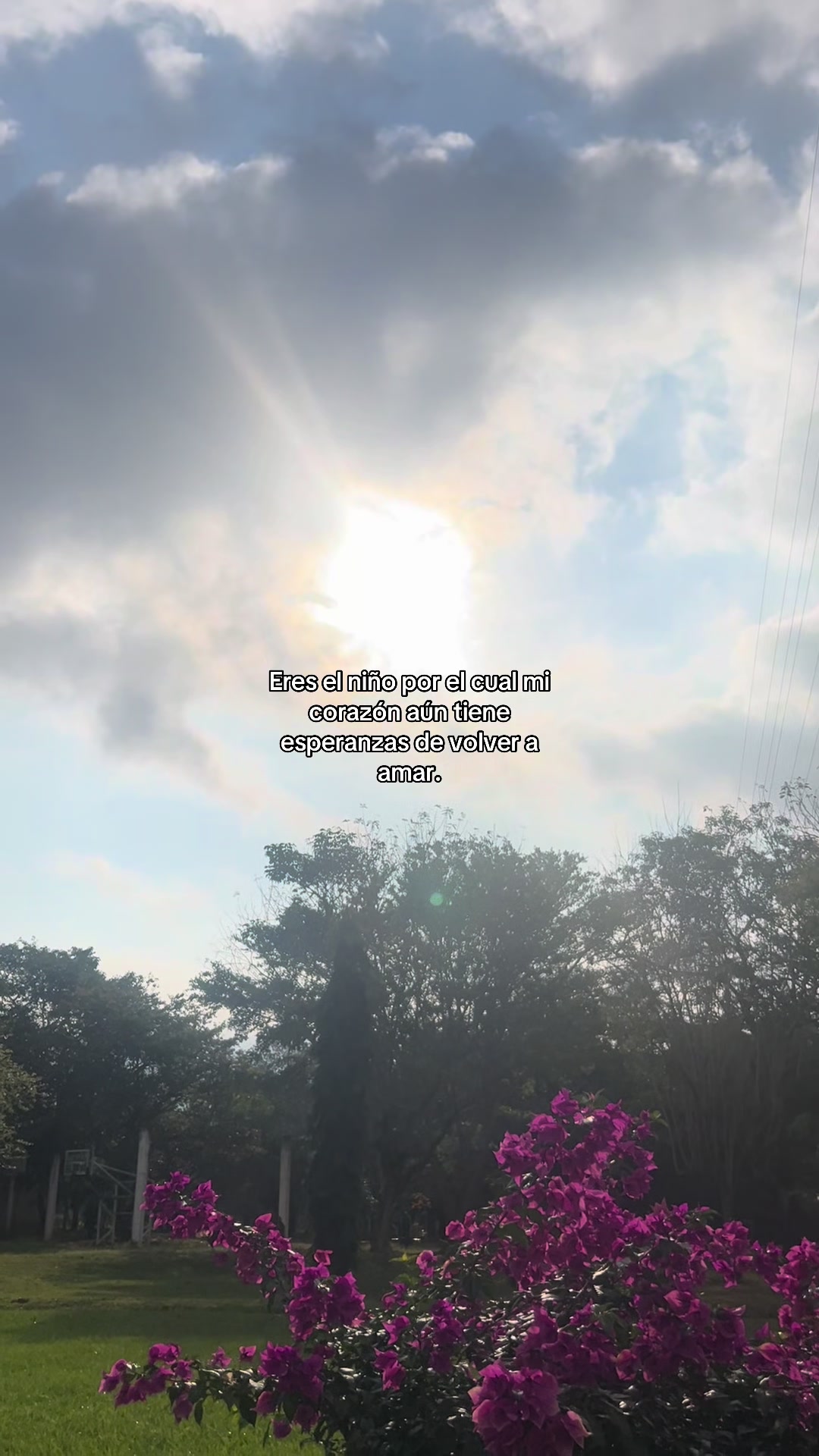 @ℒ𝒶 𝓅𝓁𝒶𝓃𝓉𝒾𝓉𝒶🌱