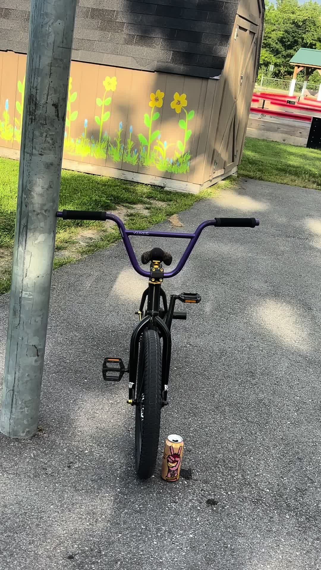 @250.Taylor
