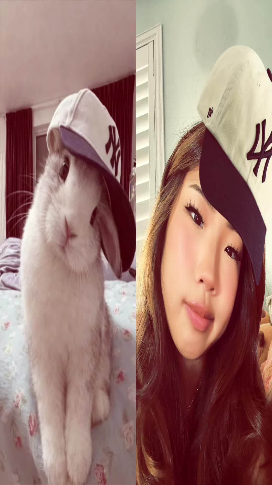 @giggle.fart03
