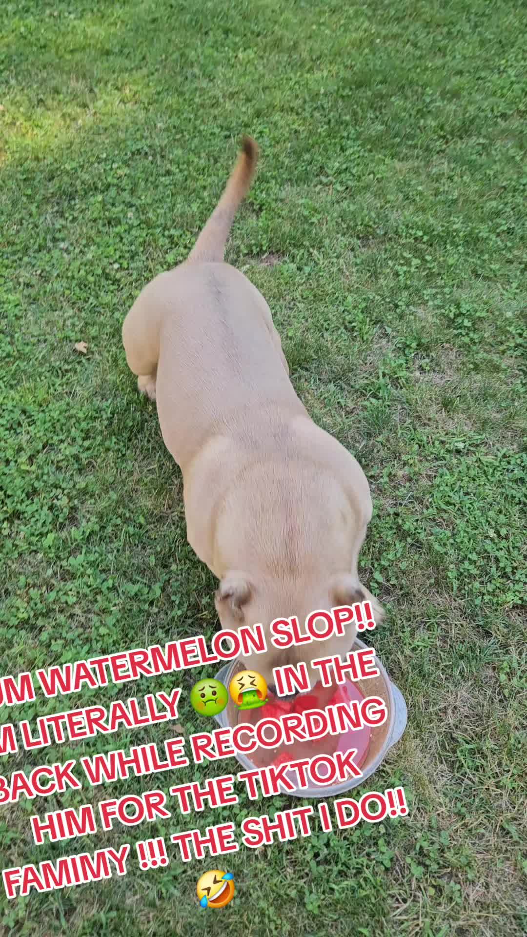 @Thor_of_Boston