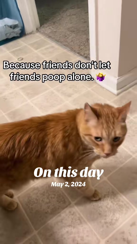 @Pablo & Luigi 🐾
