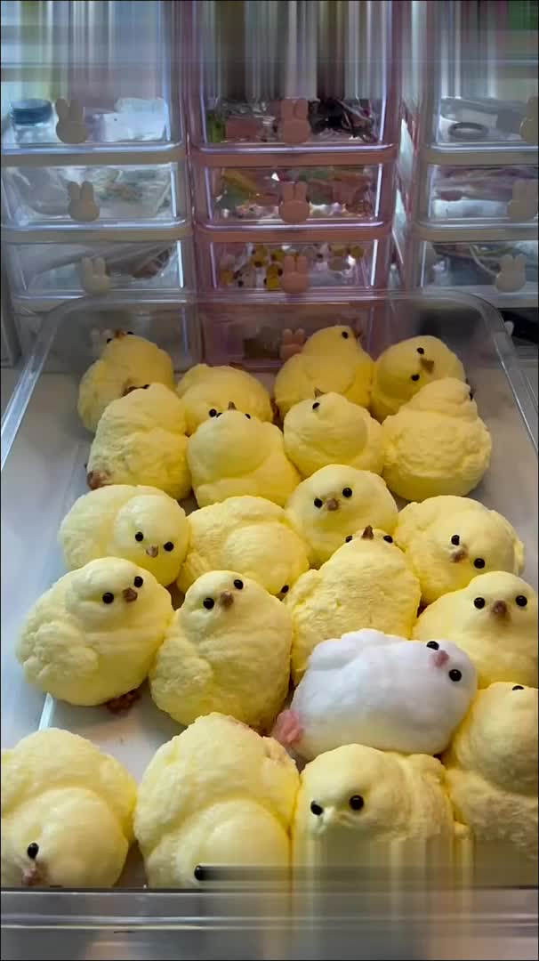 @yukiw.41