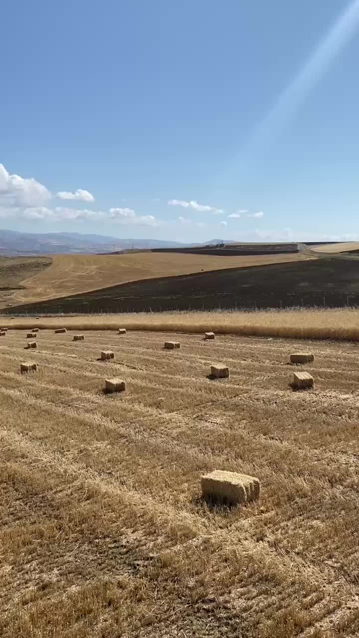 @İsa armağan