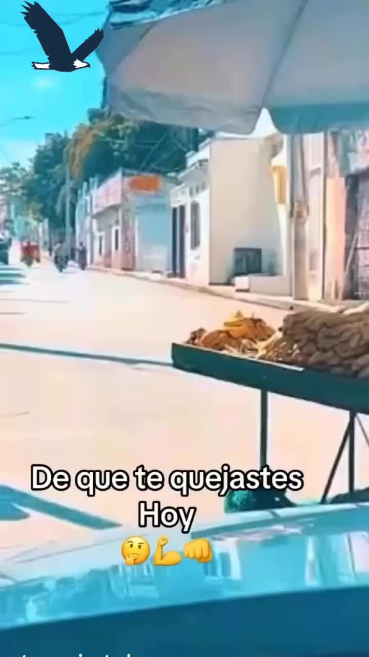 @ANTONIO MUÑOZ