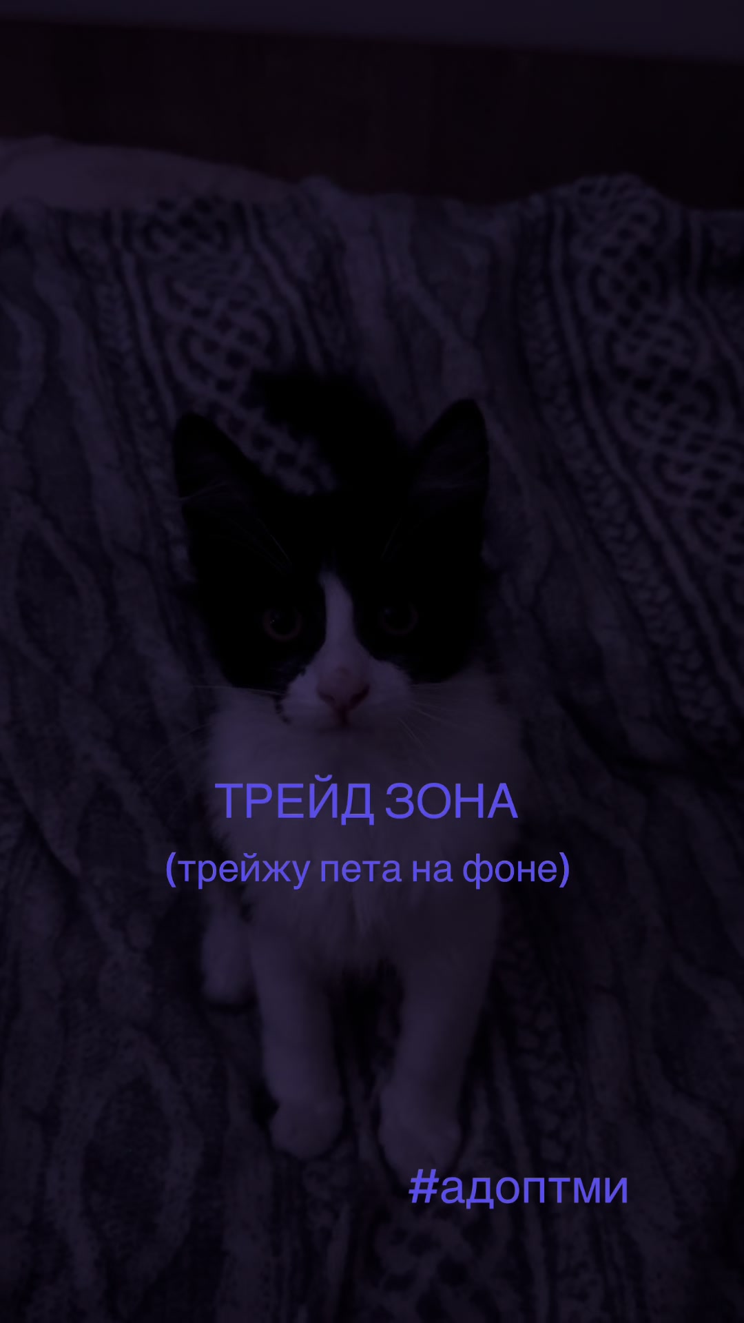@meilee