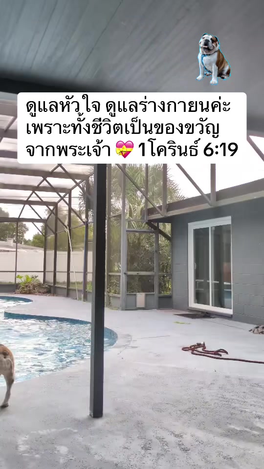 @followjesuswonwon