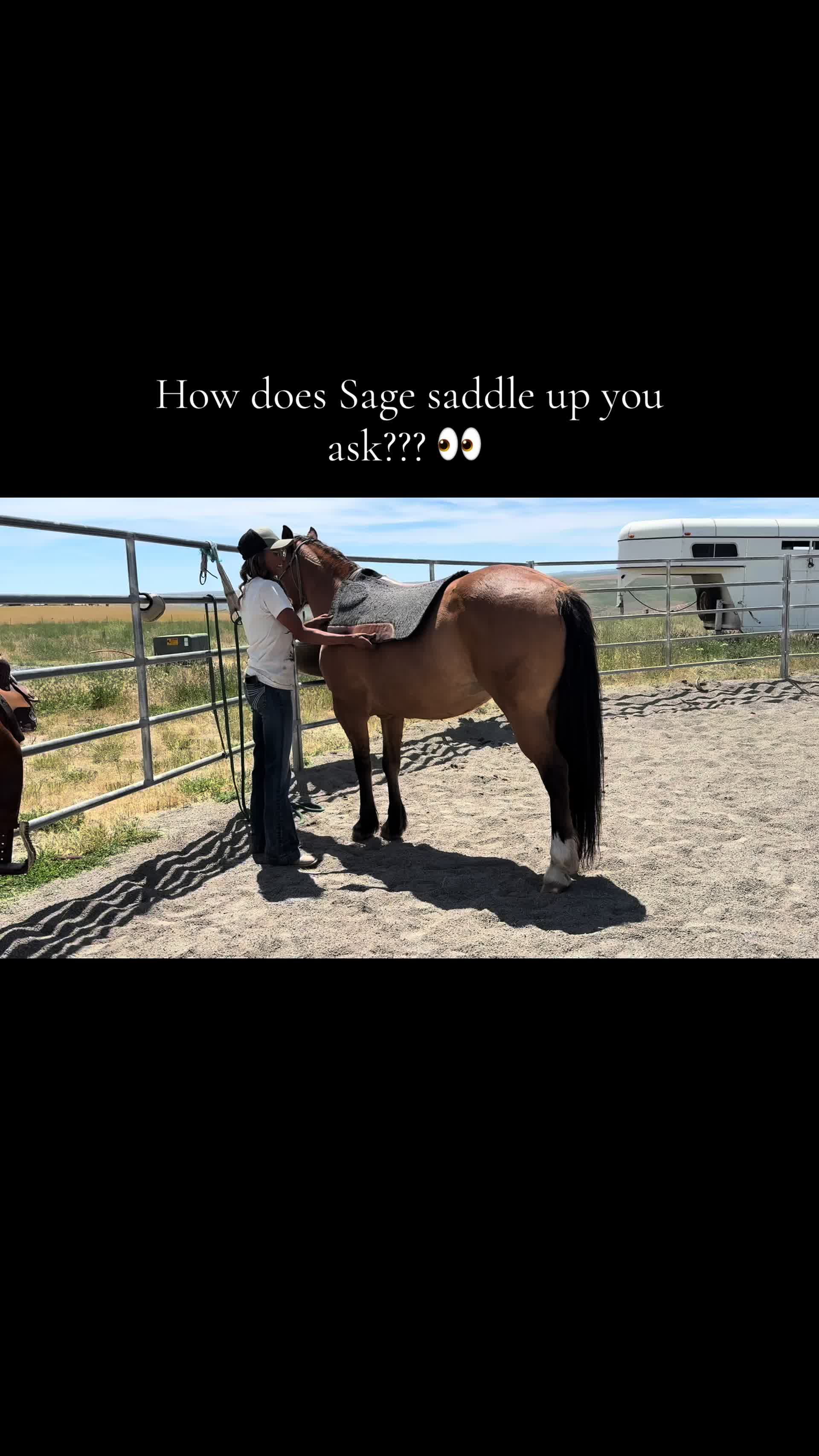 @Cowgirl Tuff Colt Training ❤️