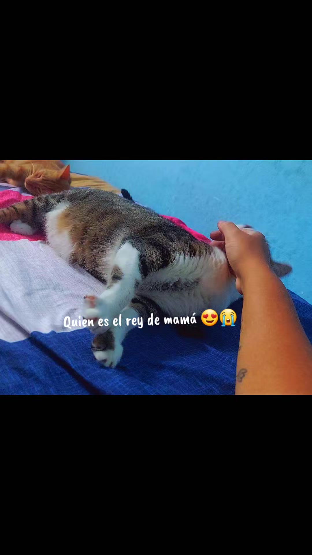 @Yargelis Susana