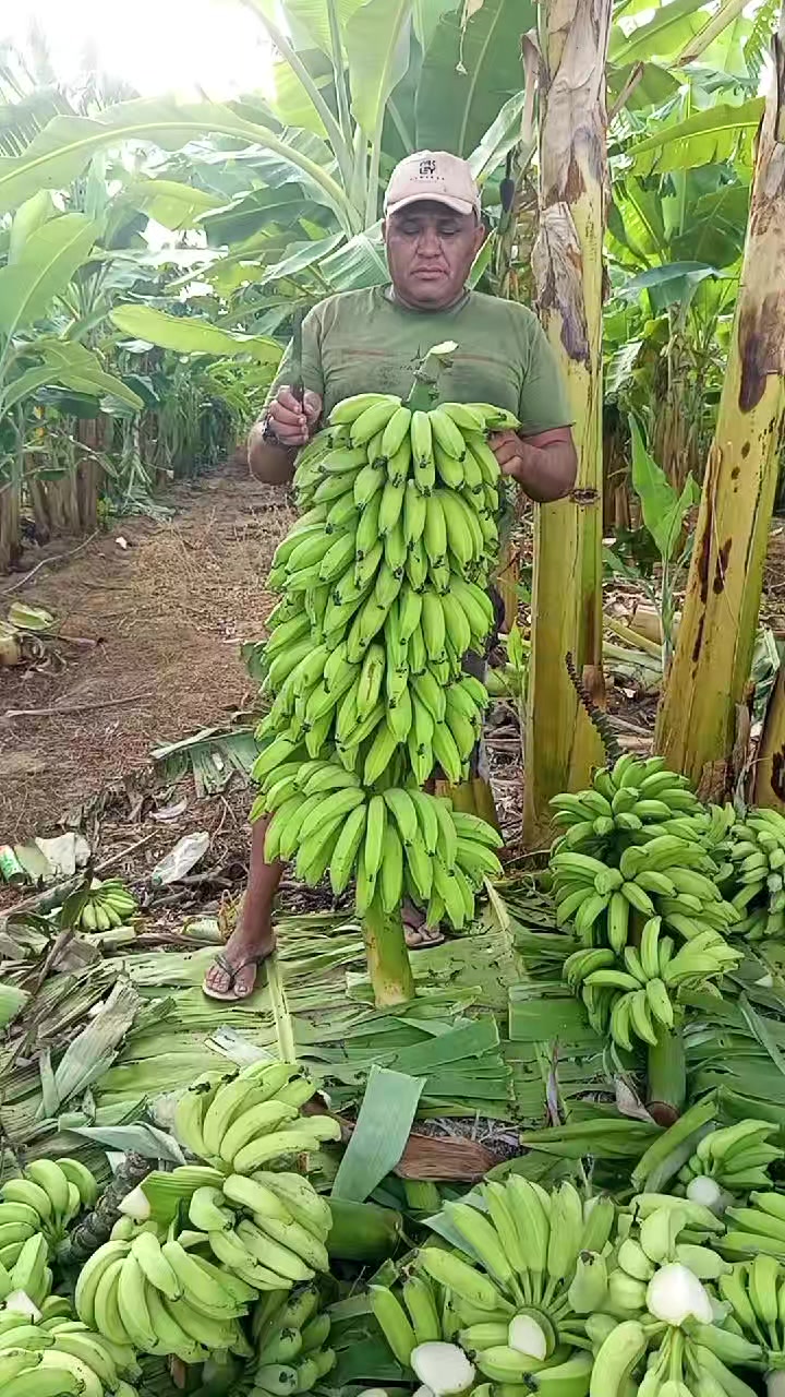 @C&iacute;cero Maicon Lopes