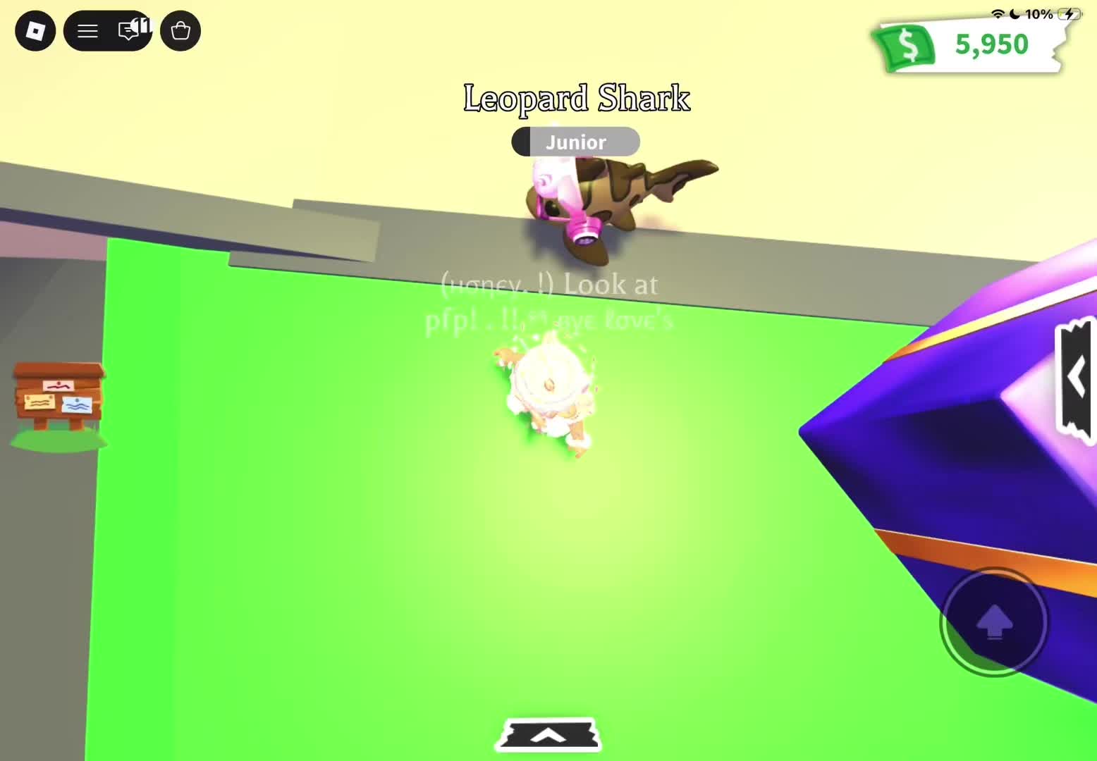 @⋆. 𐙚˚࿔ 𝓴𝓪𝔂 𝜗𝜚˚⋆