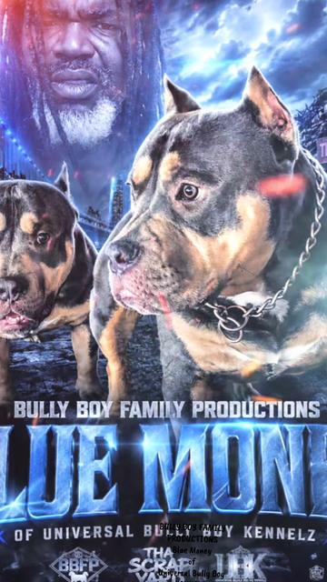 @BULLY BOY FAMILY PRODUCTIONS