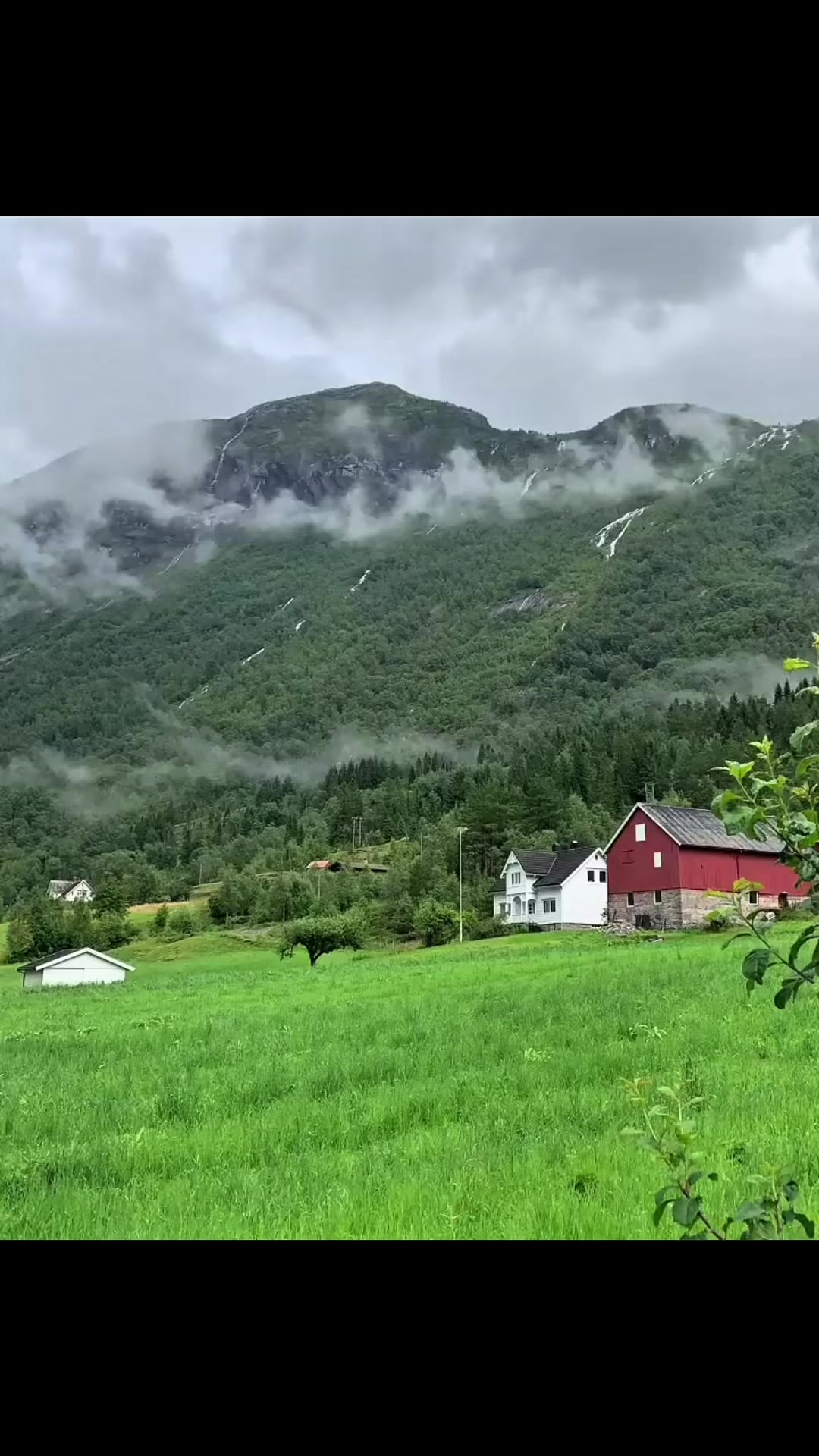@MountainBOY🇳🇴🇨🇭🇦🇹🇵🇰