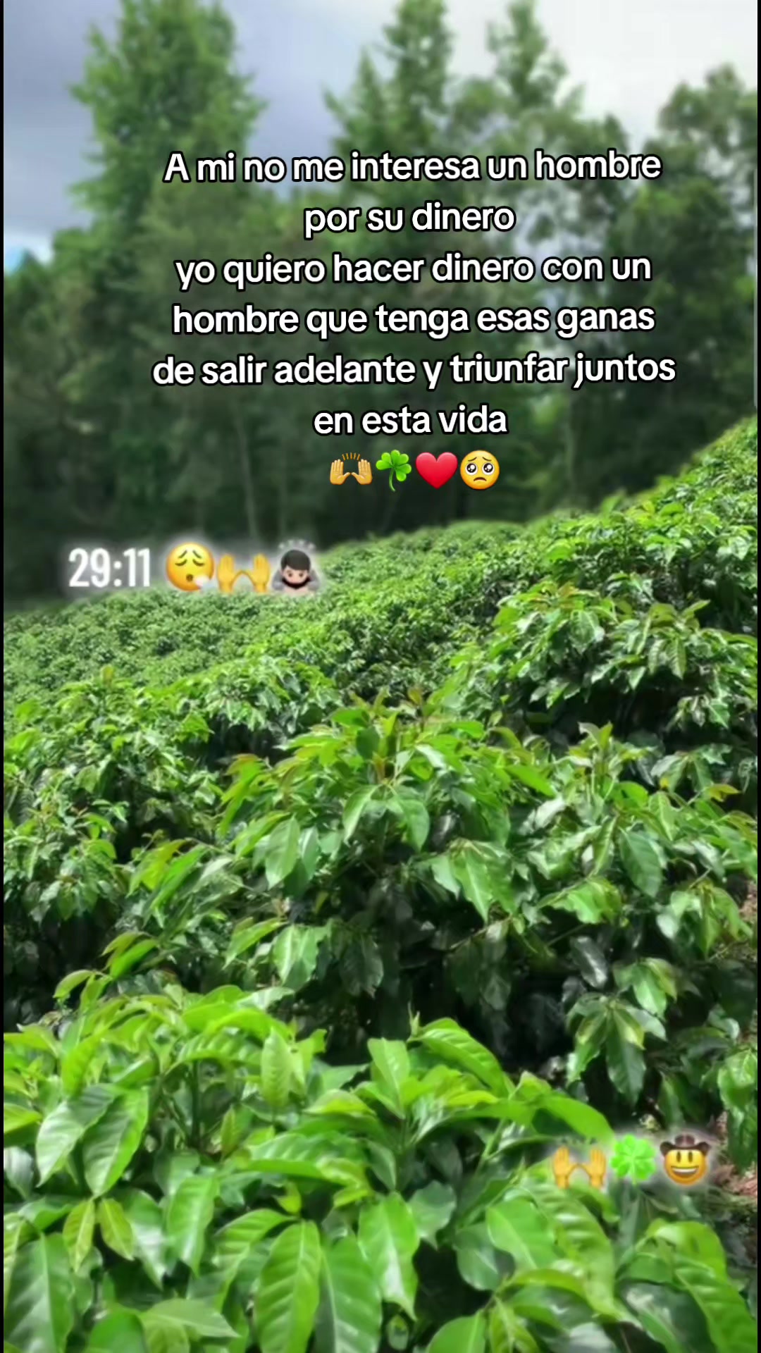 @🤍🌷Sucely🌷👑