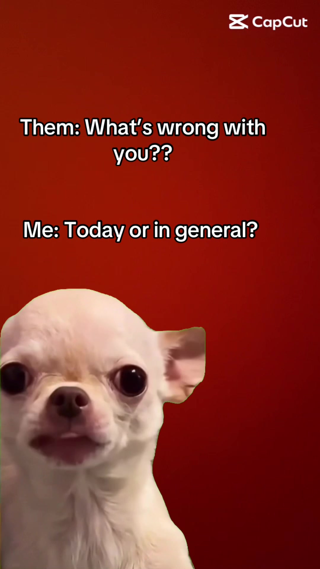 @𝐓𝐡𝐚𝐭𝐎𝐧𝐞𝐇𝐢𝐣𝐚𝐛𝐢