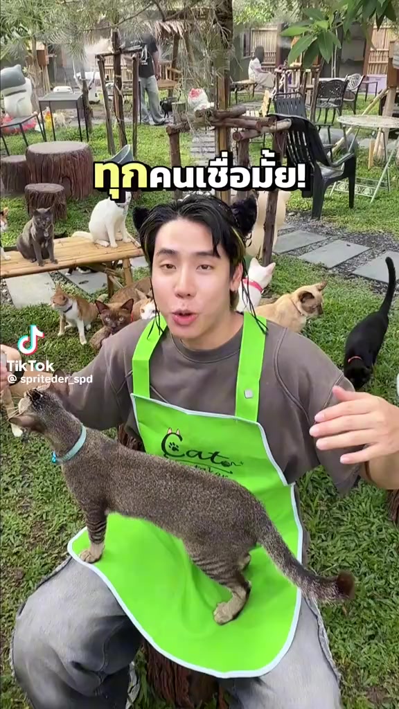 @happycatgarden.thailand