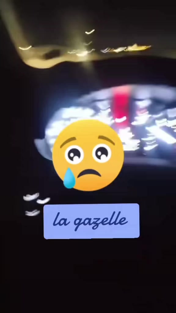 @Gazelle Eleulma