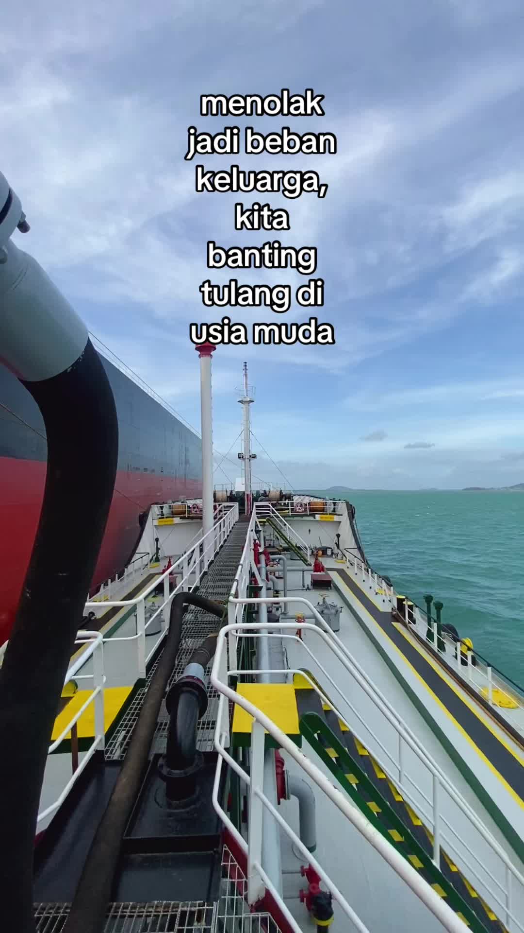 @🐬