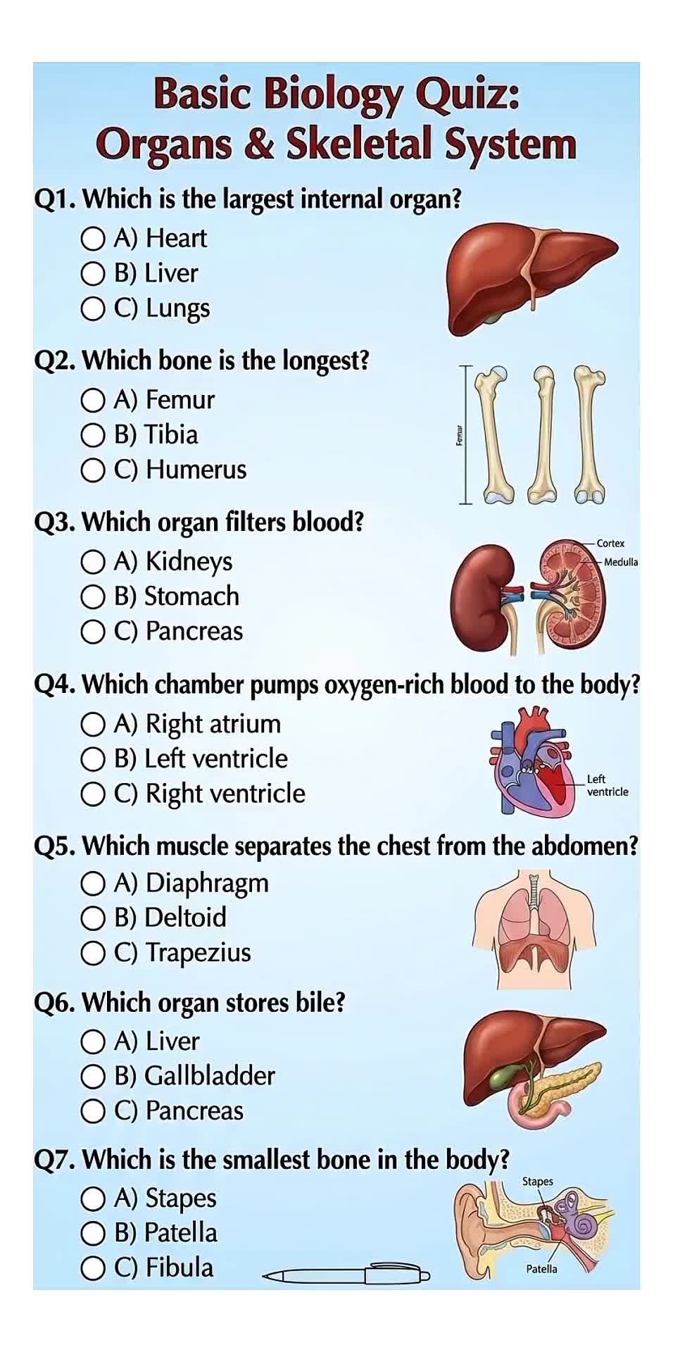 @Daily Quiz