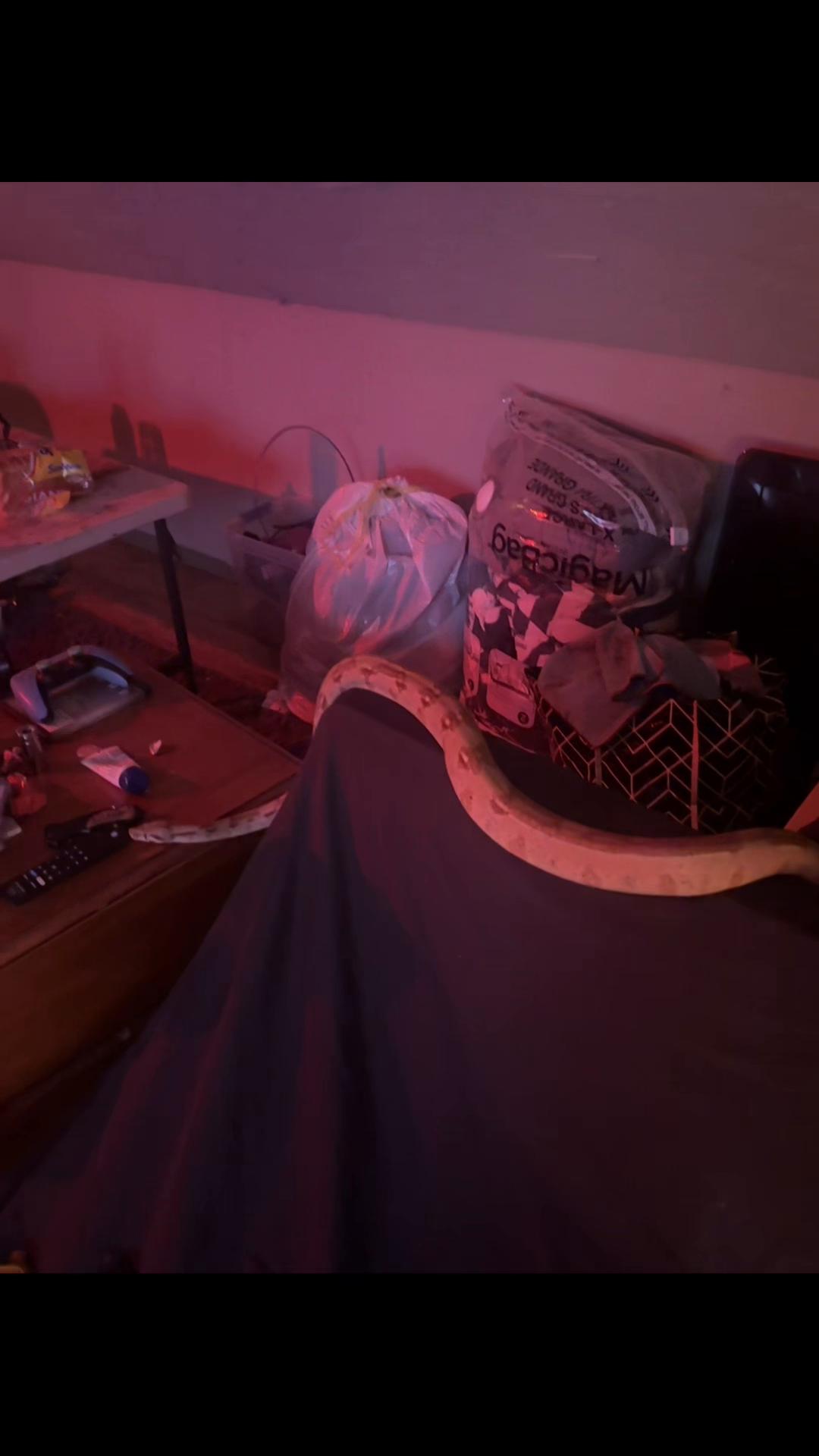 @landon00