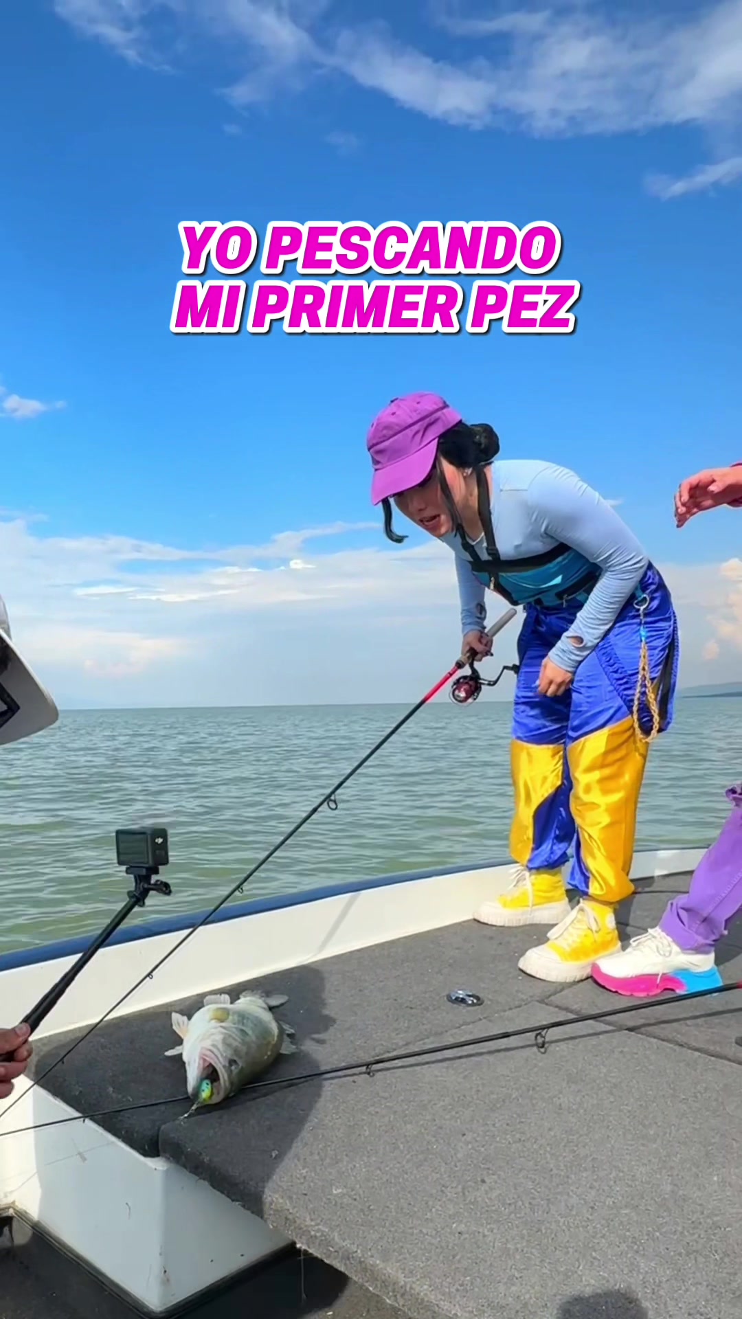 @Zuri Azul