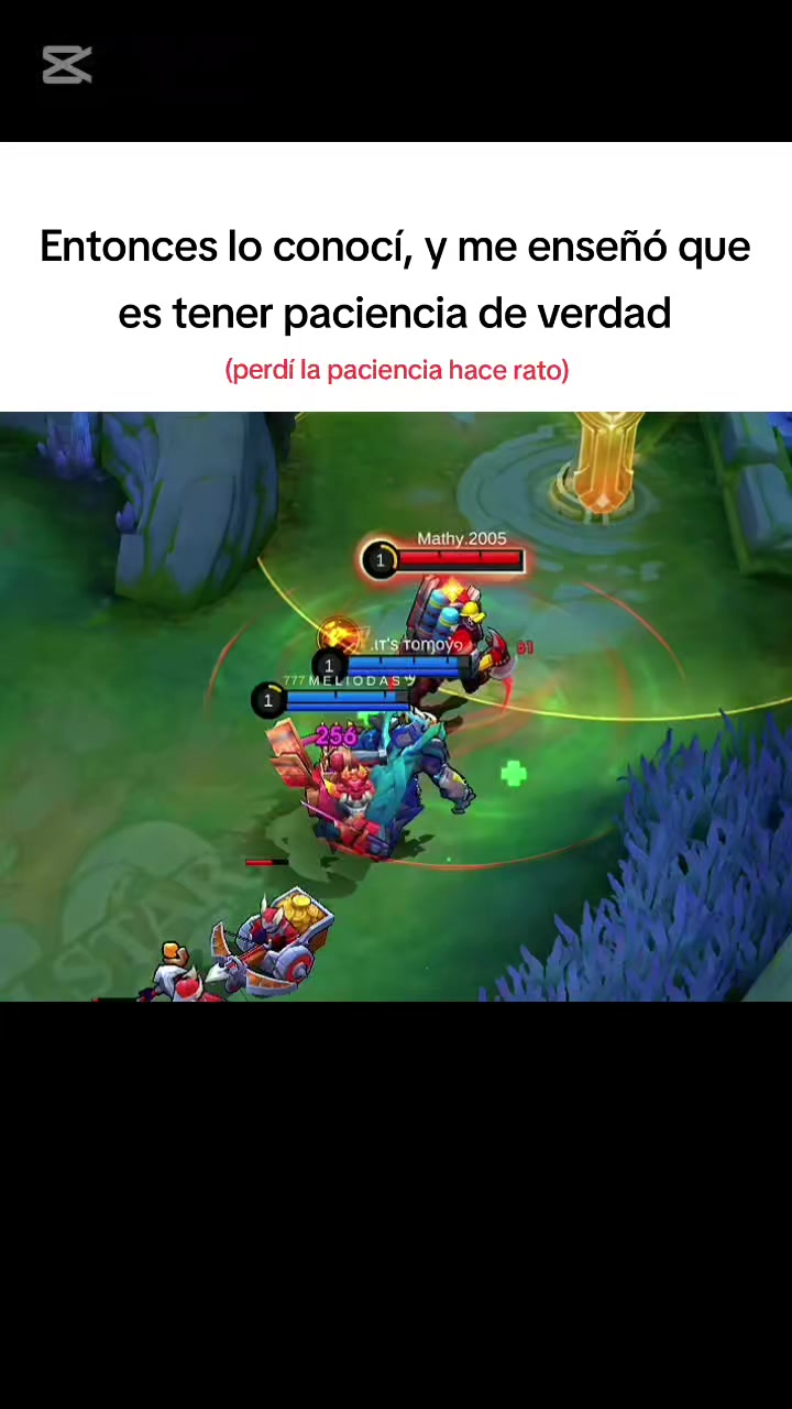 @ιт'ѕ тσмσуσ