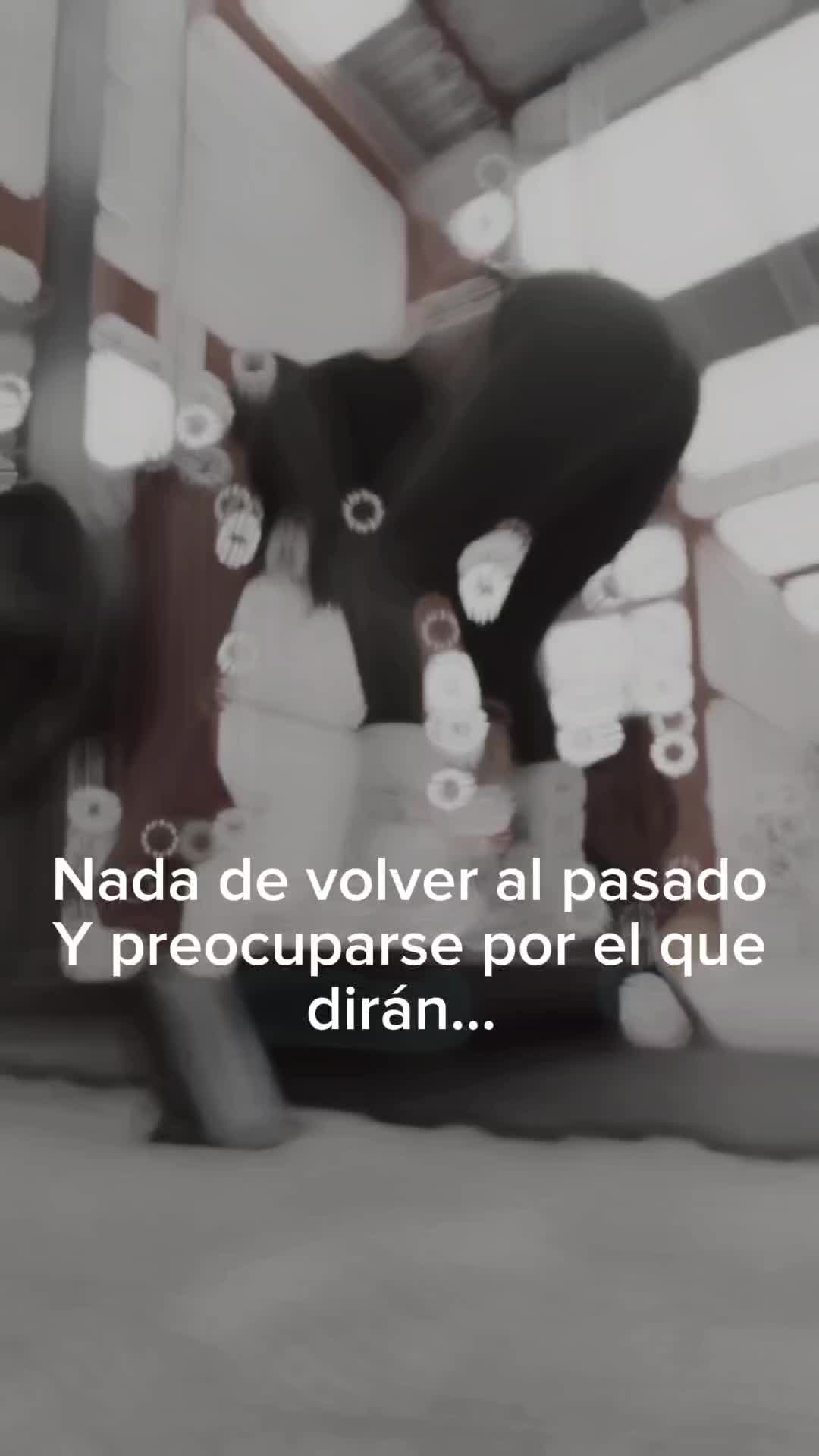 @Luce Mir
