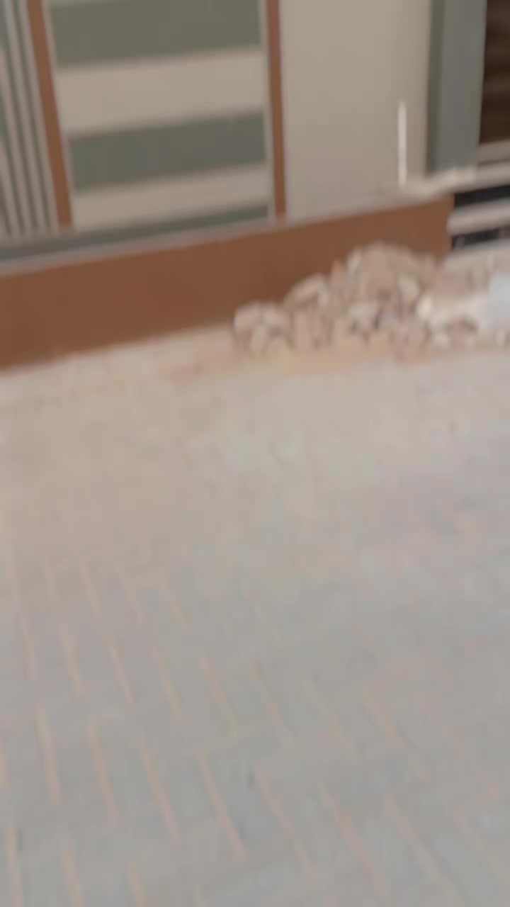 @The Property Deal's