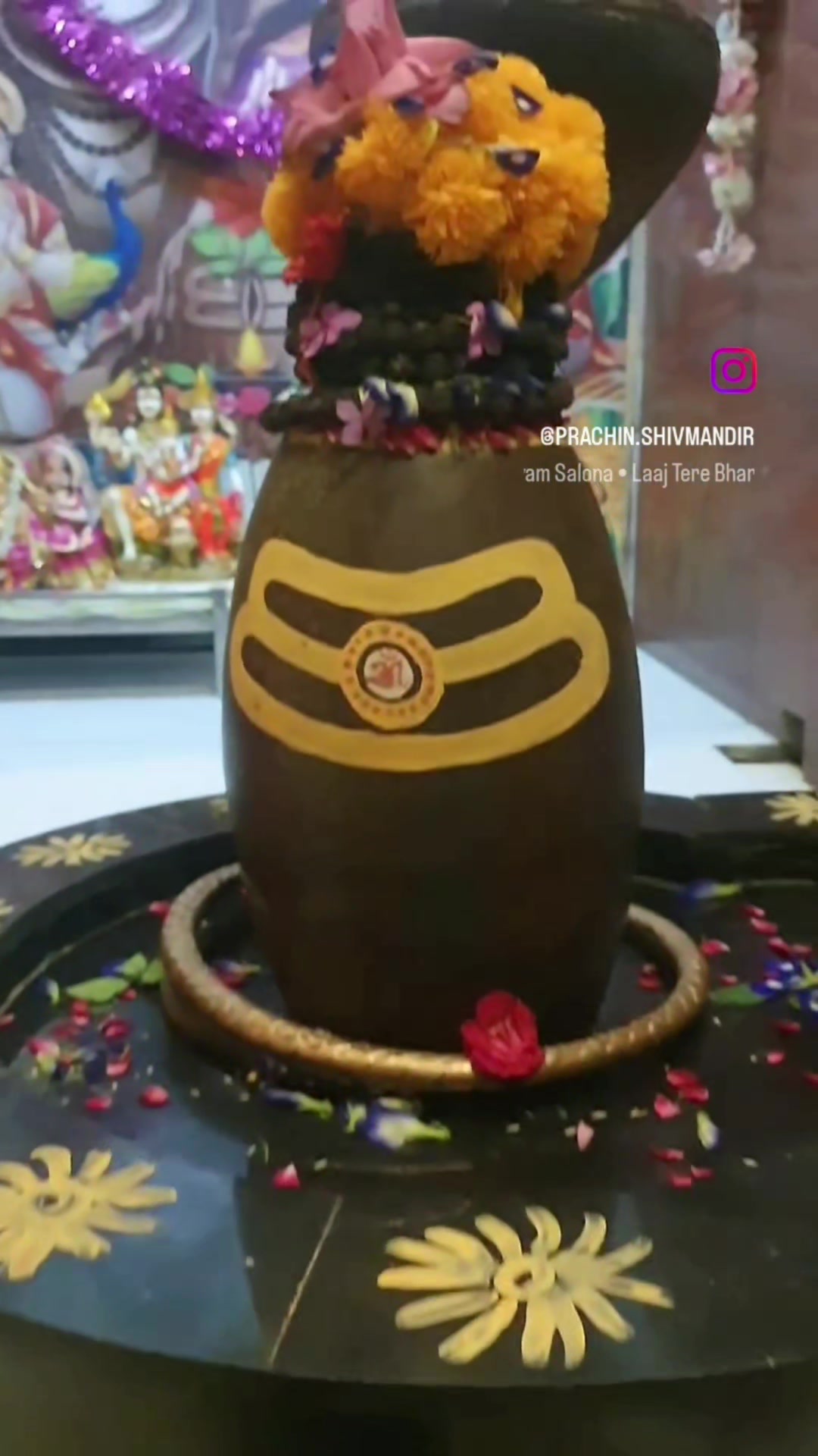 @teji_shahzadpuri