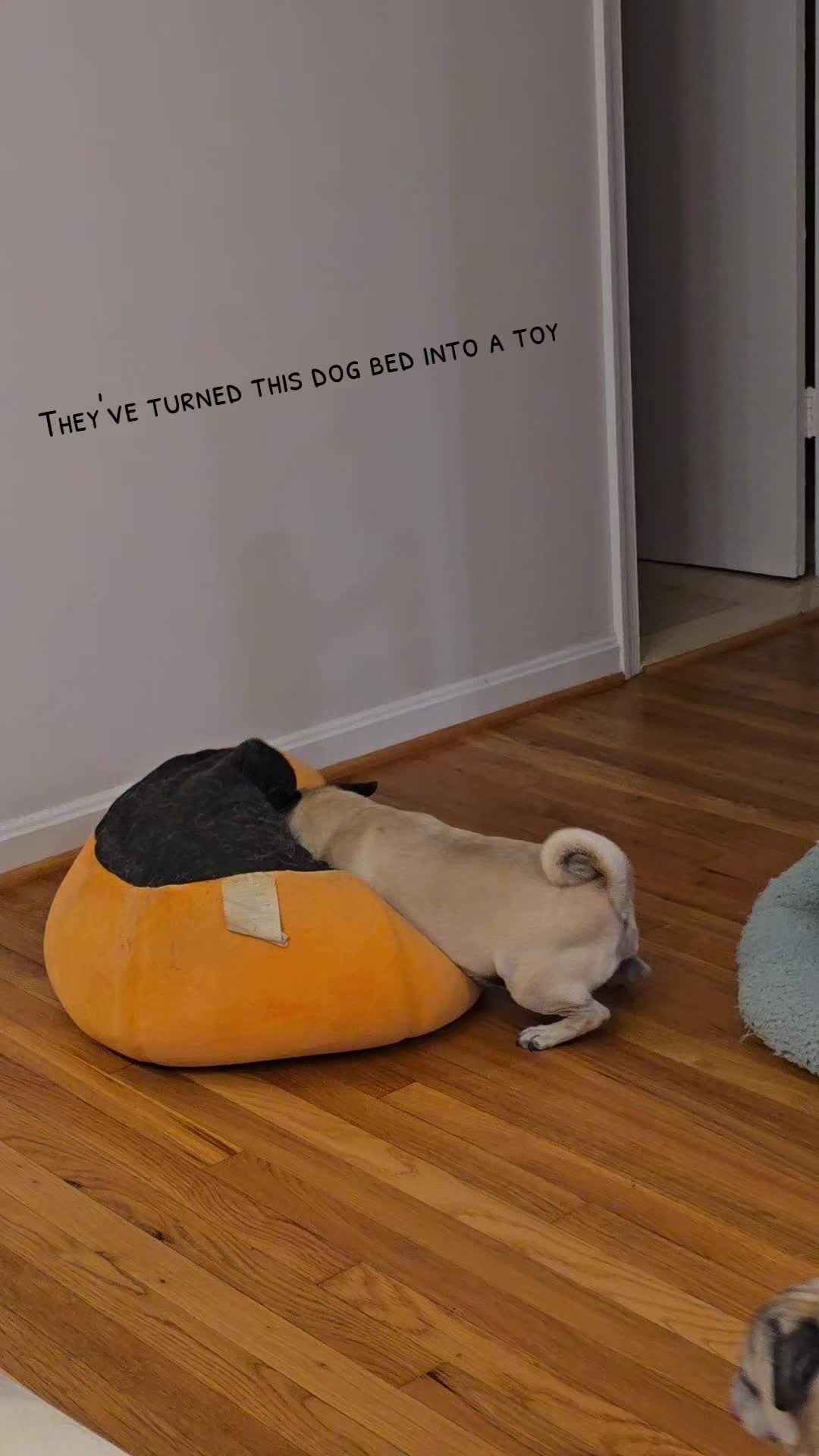 @Bah Humpug
