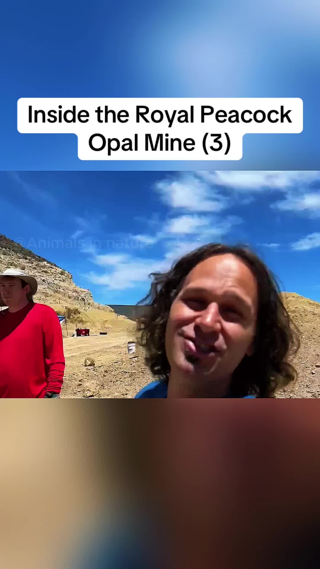 @Animals in nature