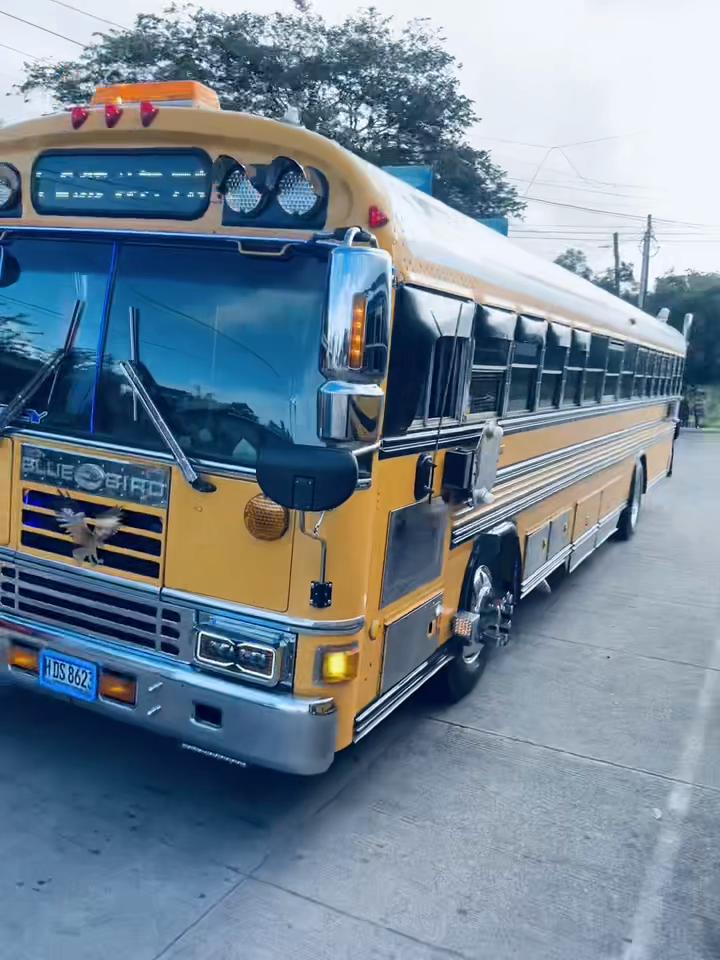 @𝒫𝑒𝓁𝓊𝓈𝒾𝓃