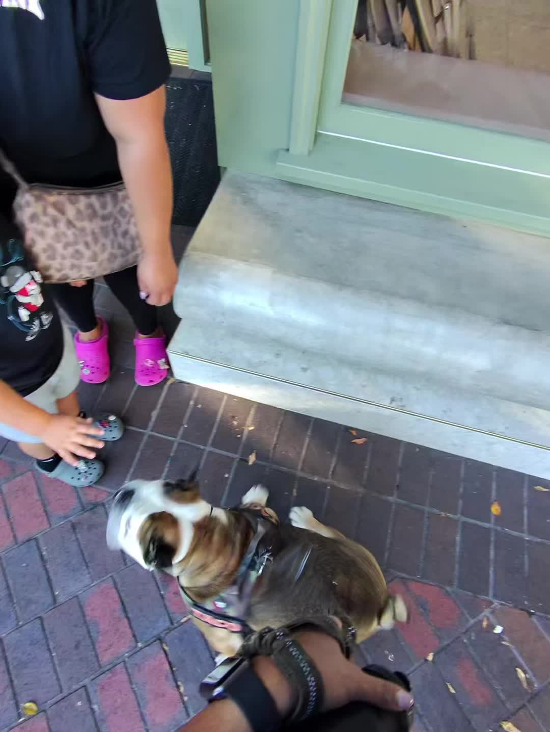 @Taco 🐶🧿