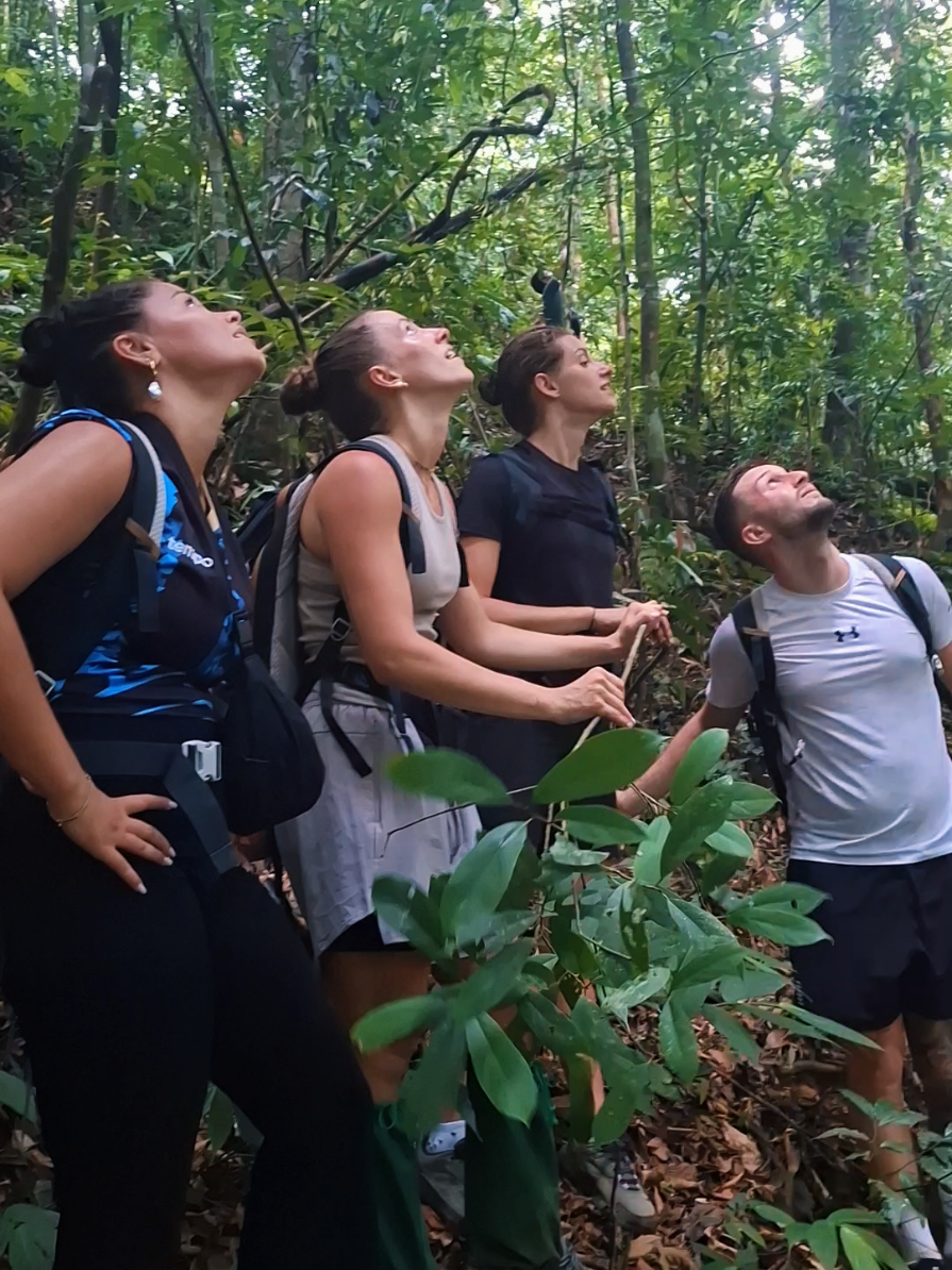 @Sumatra Ketambe Jungle Tours