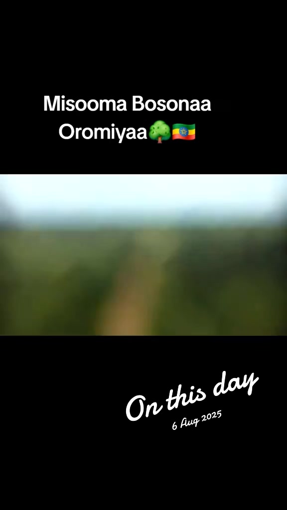 @Shimallis Abdisa Parody