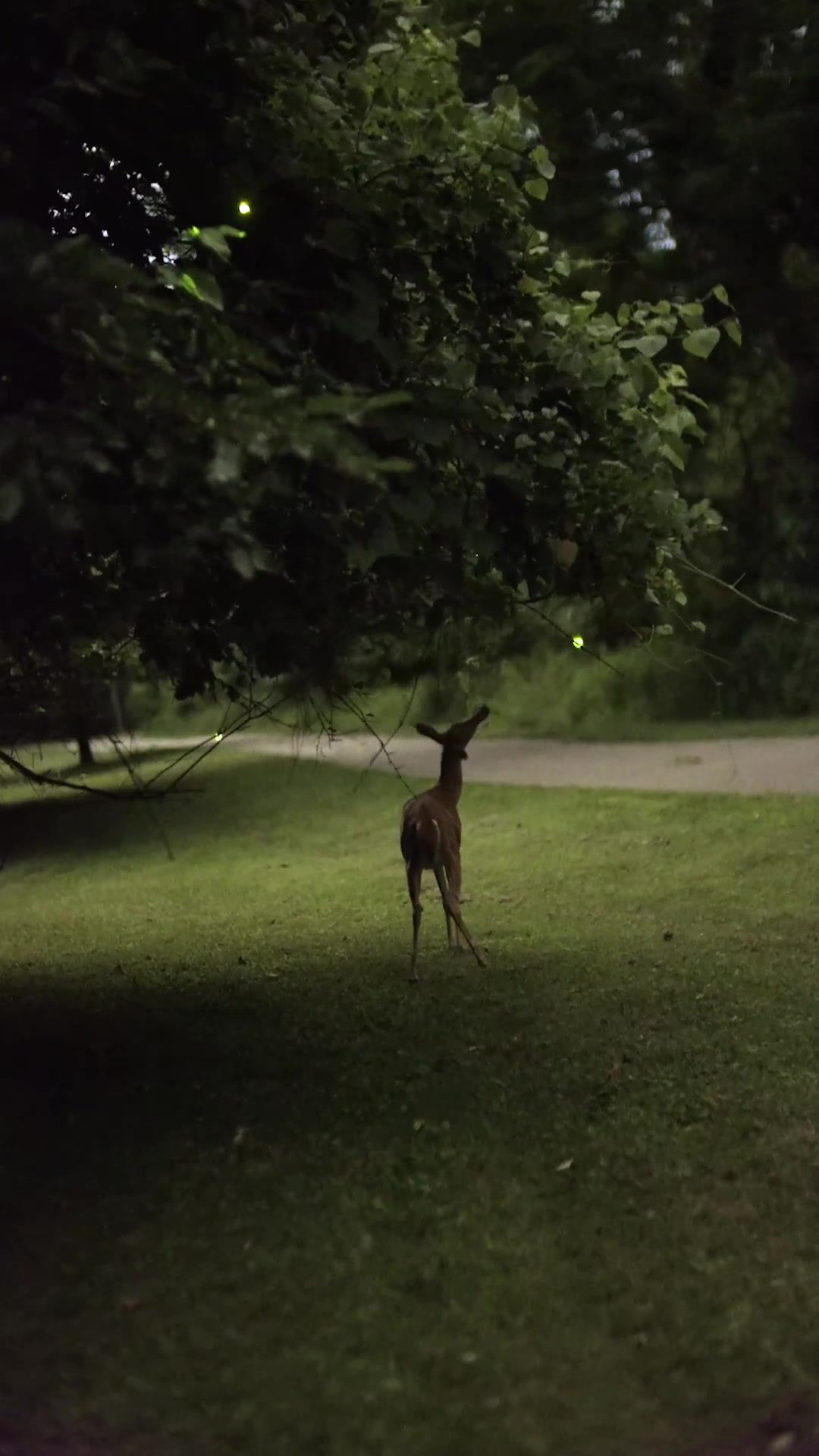 @Chasingthemilk