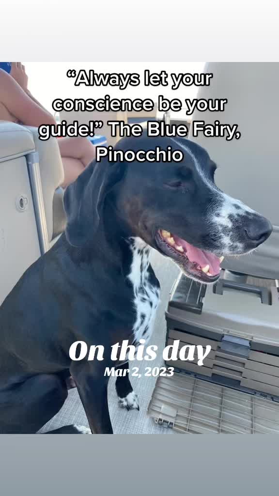 @MrBlue. (RDog) 🇨🇦