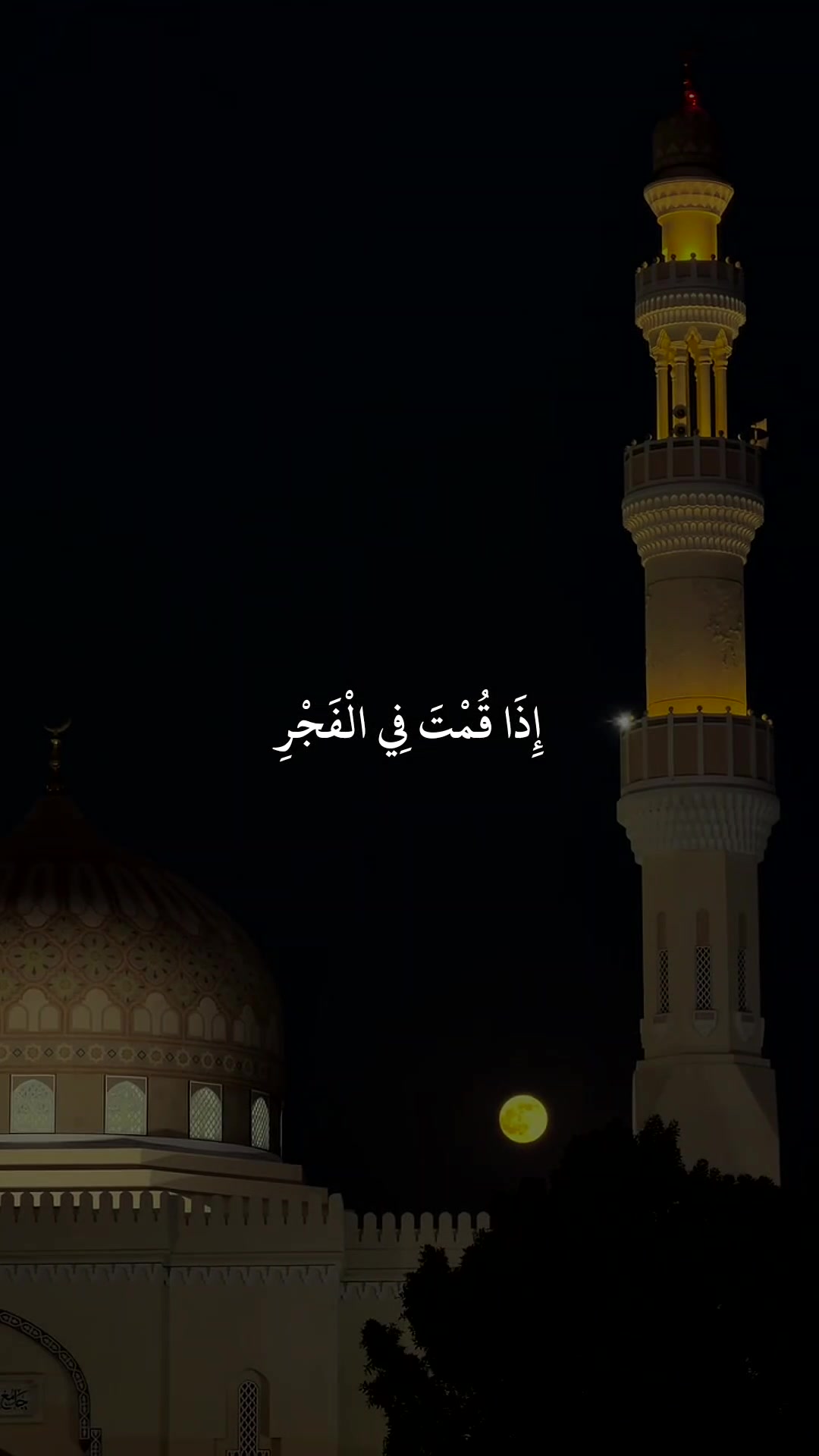 @❀ مُــسلم || 𝐌𝐔𝐒𝐋𝐈𝐌 ❀