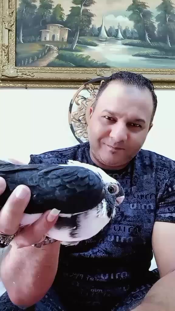 @ابراهيم جياره قلب الاسد 🇪🇬🦁