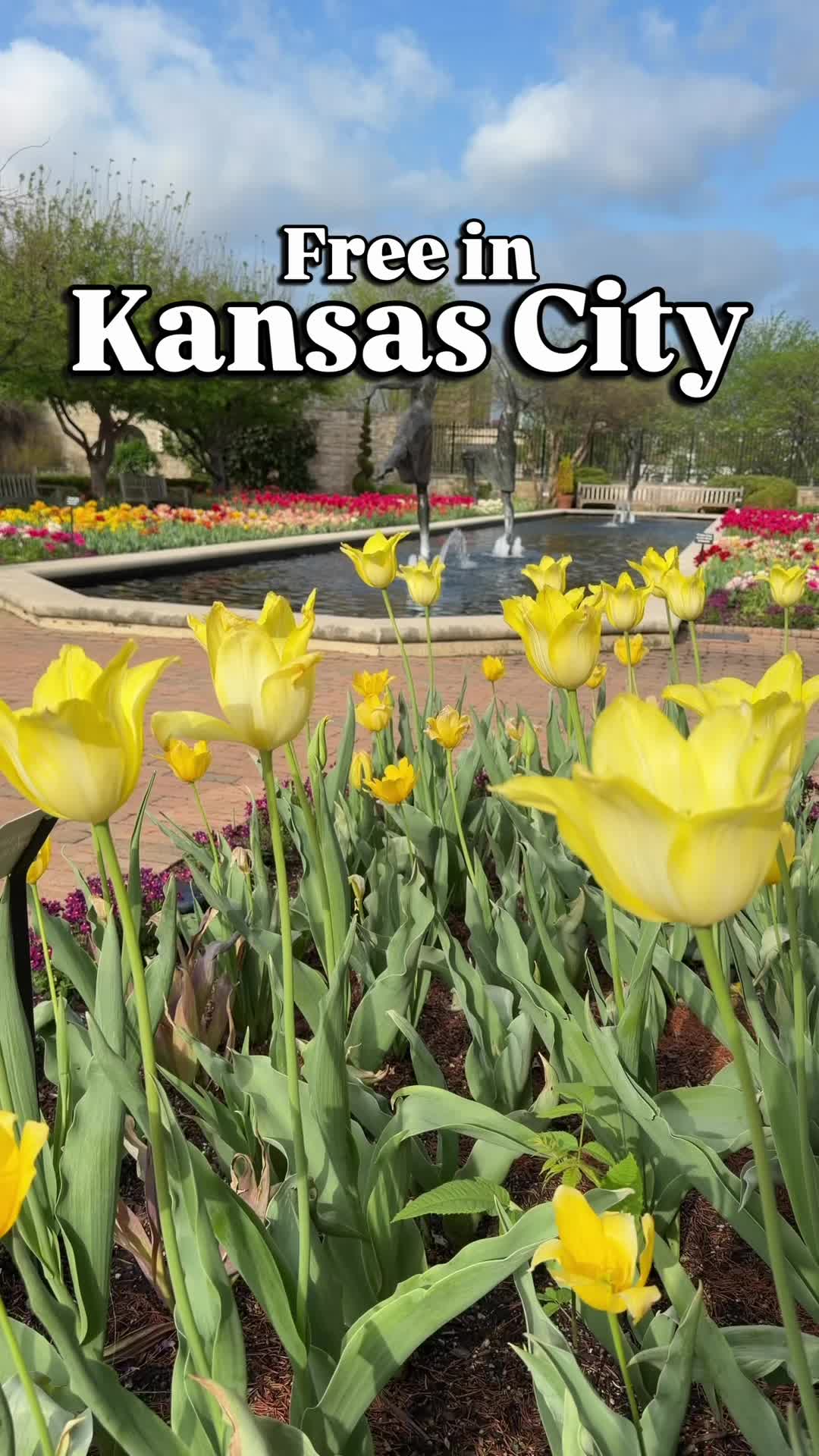 @Jana | Kansas City, Family Fun