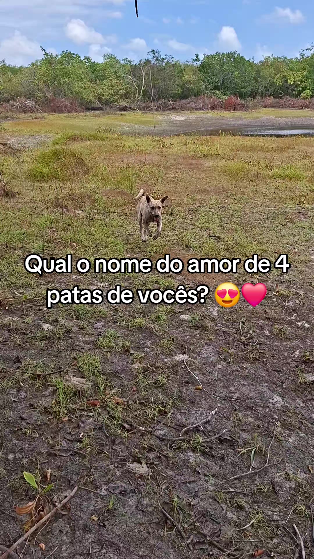 @zildatiburcio