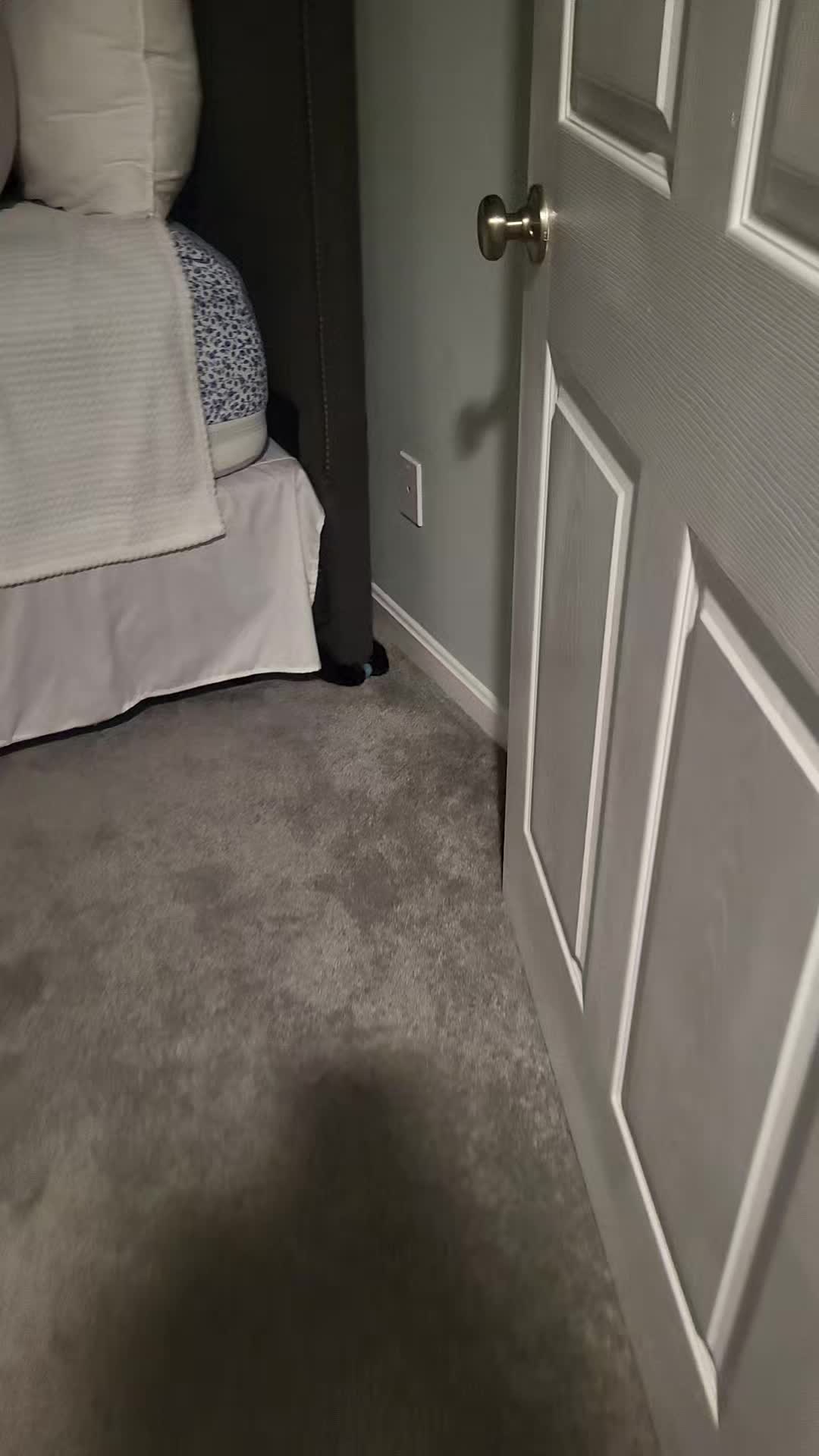 @Krystal Lea & Luna