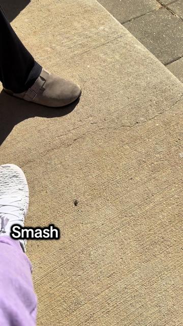@Bugs