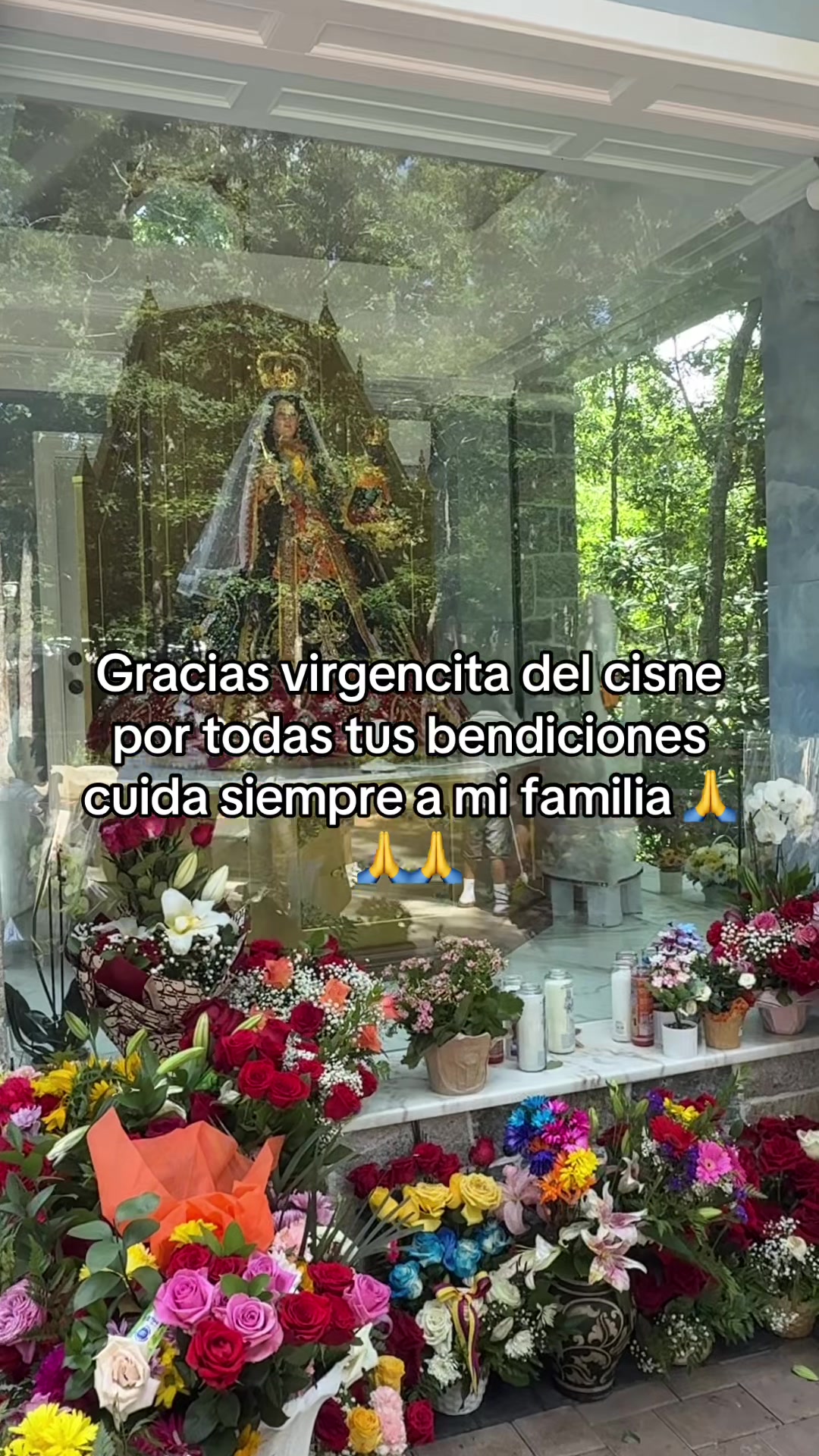 @🥰❤️P@olit@❤️🥰