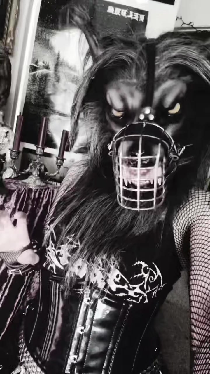 @XlycanbloodXx 𓃦