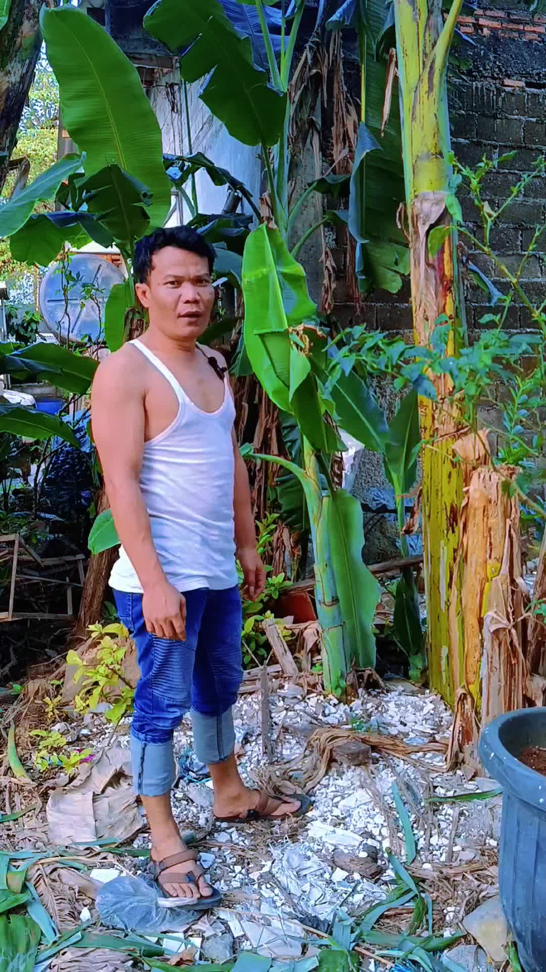 @Tokke Rongit Sihotang