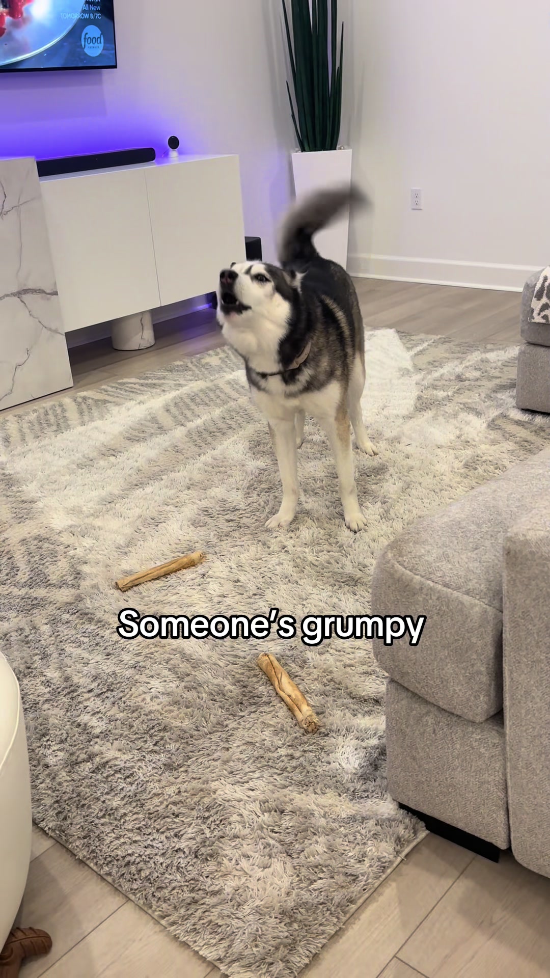 @lifewith2huskies