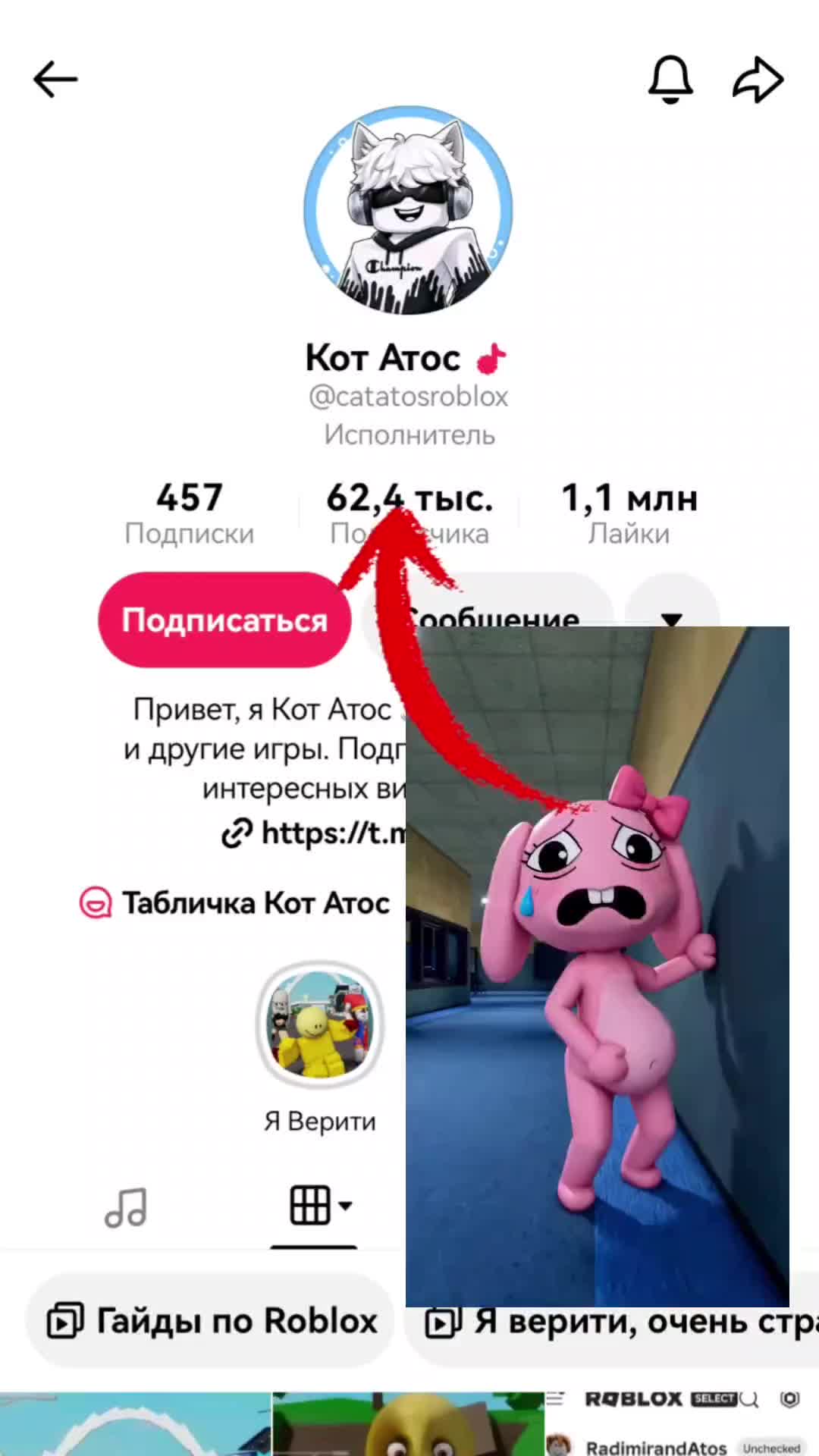 @z1prix (цiплiнэк)