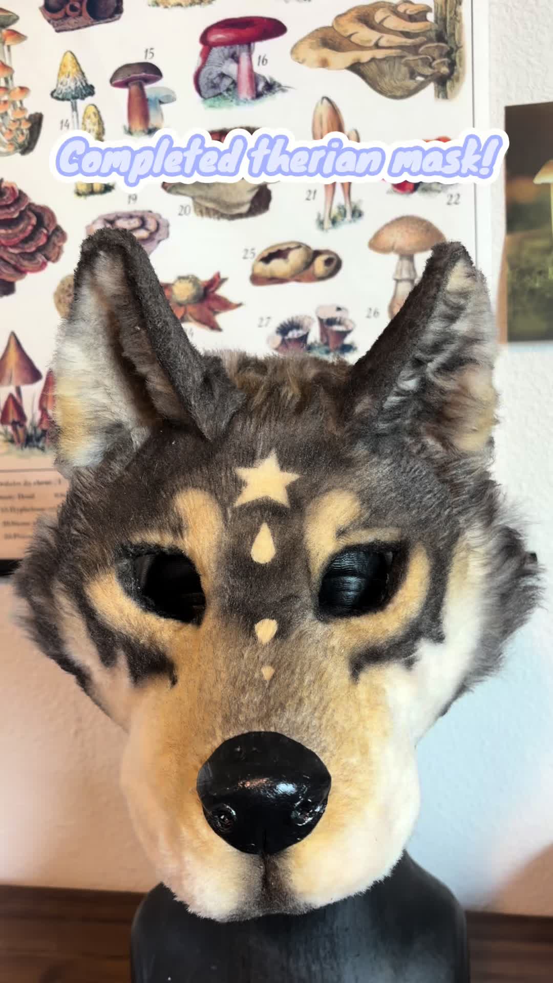 @RoadKill Creations Fursuits